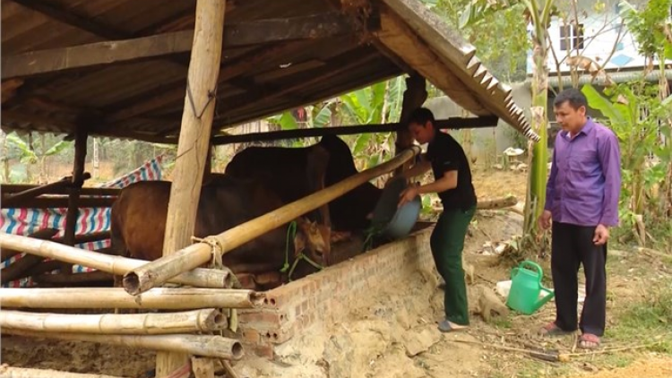 Ông Lường Văn Luân, người nông dân khát khao xây dựng quê hương trở thành miền quê đáng sống (12/6/2023)