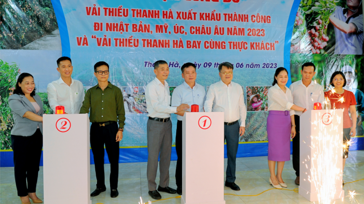 Vải thiều Hải Dương tiếp tục khẳng định thương hiệu tại các thị trường khó tính (11/6/2023)