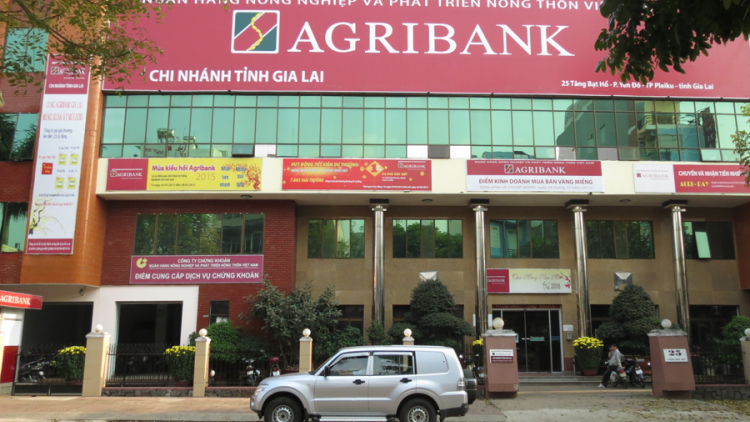 Nông dân Gia Lai làm giàu nhờ nguồn vốn ưu đãi Agribank (13/06/2023)
