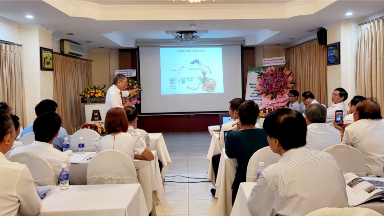 Kết hợp đông tây y trong phòng chống sốt xuất huyết (17/6/2023)