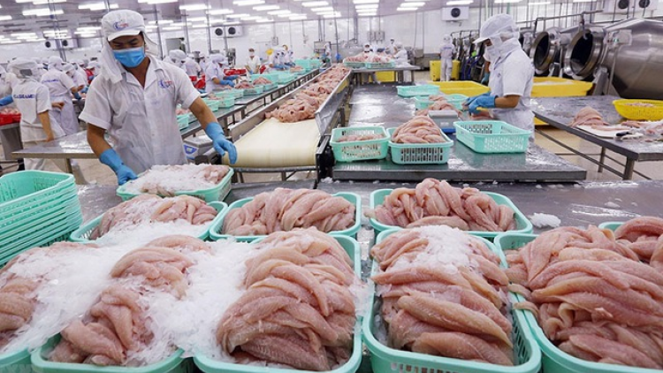 THỜI SỰ 18H CHIỀU 12/6/2023: Ngành thuỷ sản đặt mục tiêu xuất khẩu đạt 9 tỷ USD trong năm nay