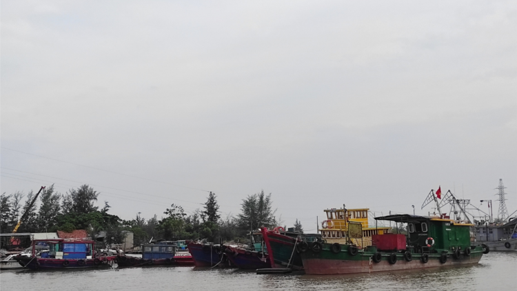 Hải Phòng: Kiên quyết không để phương tiện hoạt động trong sóng to, gió lớn (17/7/2023)