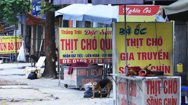 Đề xuất thí điểm Hà Nội nói không với thịt chó, mèo: Liệu có khả thi? (11/7/2023)