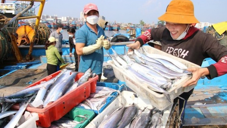 THỜI SỰ 21H30 ĐÊM 3/7/2023: Bộ Nông nghiệp và phát triển nông thôn sẽ bổ sung thêm 6 thiết bị phạt nguội để xử lý các tàu cá vi phạm IUU.