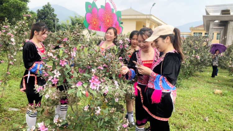 Quảng Ninh: Thí điểm xây dựng 4 làng dân tộc thiểu số (15/7/2023)