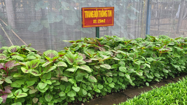 Trường Sa Đông xanh… (9/7/2023)