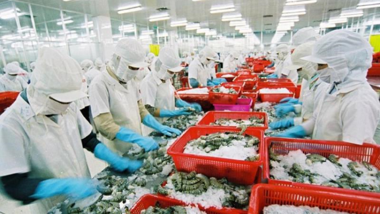 Thủy sản phục hồi xuất khẩu những tháng cuối năm (16/7/2023)