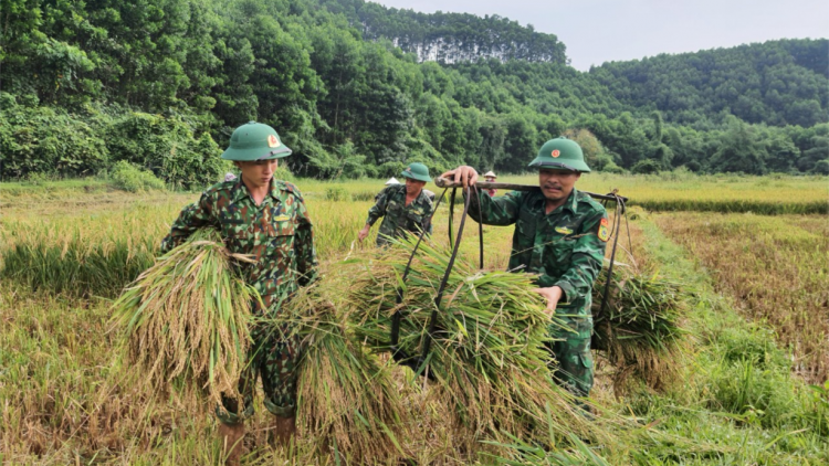 Bộ đội biên phòng chung tay xây đắp thế vững vùng biên (26/07/2023)