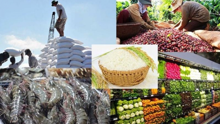 7 tháng, xuất khẩu nông lâm, thủy sản vào các nước ASEAN tăng mạnh (29/7/2023)