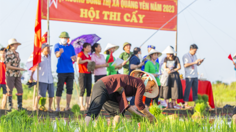 Miền cửa biển Quảng Ninh tổ chức Lễ hội xuống đồng (23/7/2023)