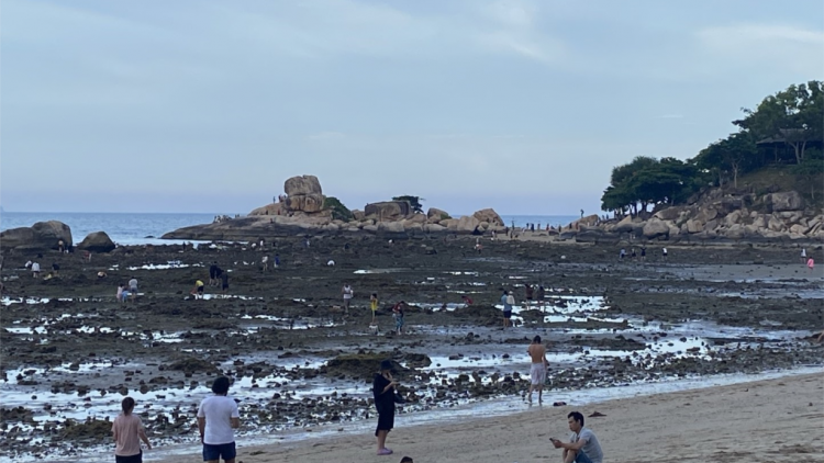 Khánh Hòa: Đặt phao phân vùng để bảo vệ rạn san hô Hòn Chồng (31/7/2023)