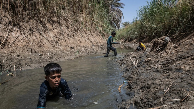 Biến đổi khí hậu trầm trọng tại Iraq - nơi được mệnh danh là cái nôi của nhân loại (14/8/2023)