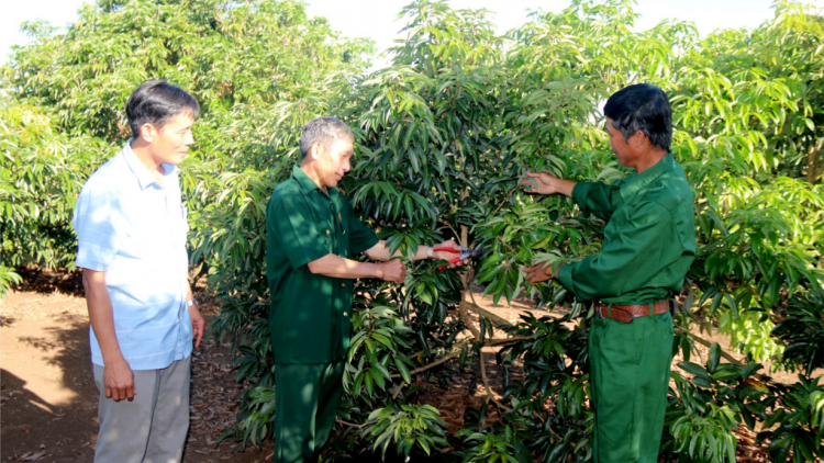 Phát huy vai trò gương mẫu của cựu chiến binh trong giáo dục truyền thống cho thế hệ trẻ (16/8/2023)