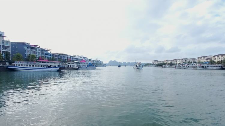 Mô hình tự quản "ba không" trên vịnh Hạ Long (11/8/2023)