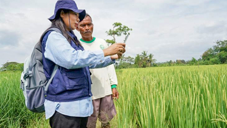 Indonesia thúc đẩy “Chiến lược quốc gia về nông nghiệp điện tử” (16/8/2023)