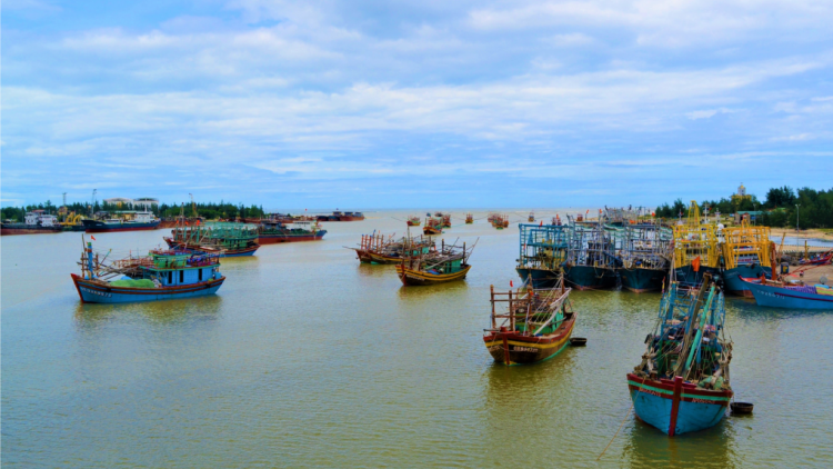 Quảng Trị: Phát huy tiềm năng khai thác biển (7/8/2023)
