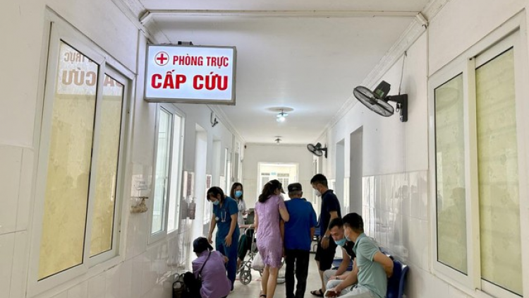 Cao Bằng: Nhiều trường hợp bị ong đốt phải nhập viện cấp cứu (12/9/2023)