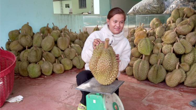 Khánh Hòa: Tín dụng hỗ trợ người dân miền núi thoát nghèo (13/9/2023)