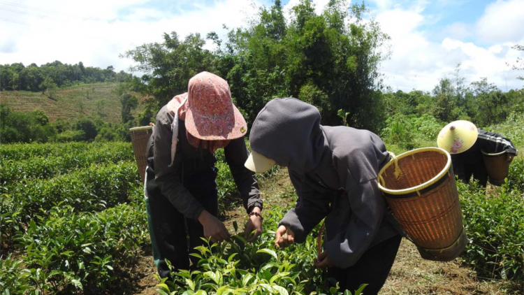 Kon Tum: Đồng hành gỡ khó hỗ trợ doanh nghiệp phát triển (28/9/2023)