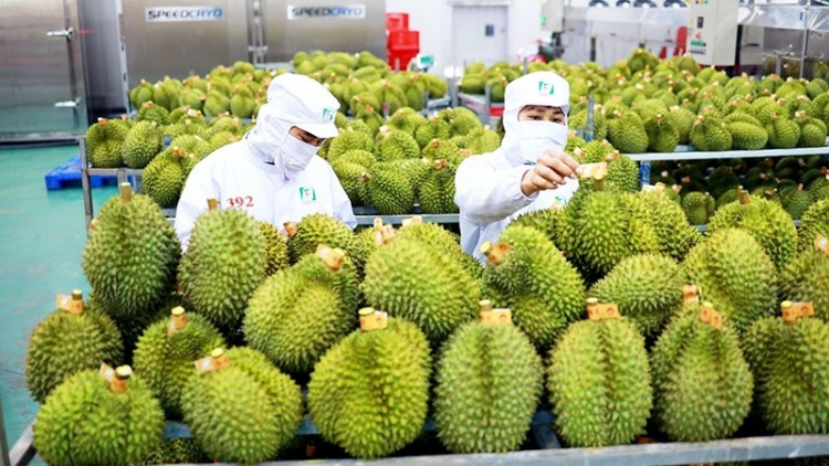 Lưu ý về yêu cầu Giấy chứng nhận đăng ký, nộp phí trực tuyến khi xuất khẩu nông sản vào thị trường Trung Quốc (13/1/2024)