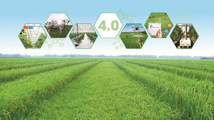 Chuyển đổi nông nghiệp xanh: phấn đấu đến năm 2025 không còn phát thải (04/01/2024)