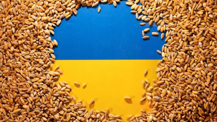 Ukraine gặp khó khi các quốc gia Đông Âu đòi áp thuế với sản phẩm ngũ cốc (21/1/2024)