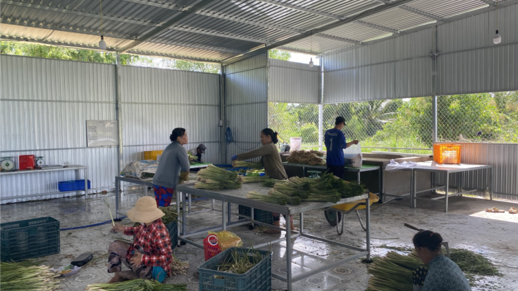 Vĩnh Long: Chủ động tháo gỡ khó khăn cho doanh nghiệp (8/1/2024)