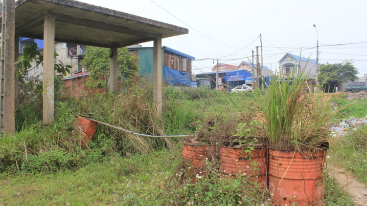 Bài 2: Đất vàng bị bỏ hoang – Lãng phí, ô nhiễm môi trường (03/08/2023)