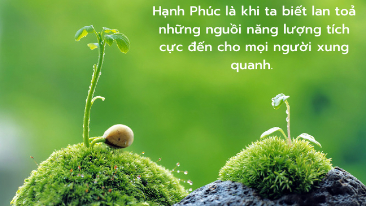 Thông điệp Năm mới 2024 của các nhà lãnh đạo thế giới lan tỏa năng lượng tích cực đến người dân (1/1/2024)