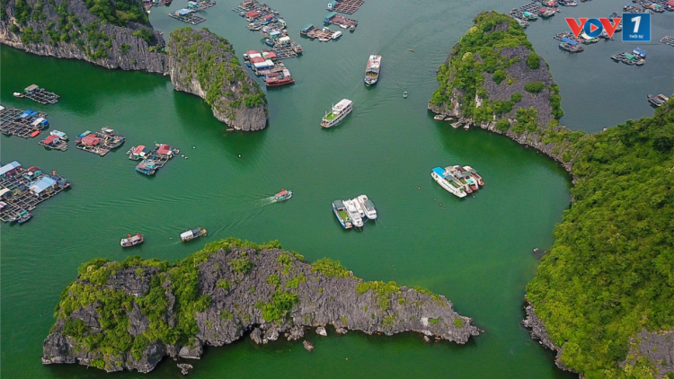 Hải Phòng: Thành lập Ban chỉ đạo Quản lý Di sản thiên nhiên thế giới vịnh Hạ Long – quần đảo Cát Bà (22/10/2024)