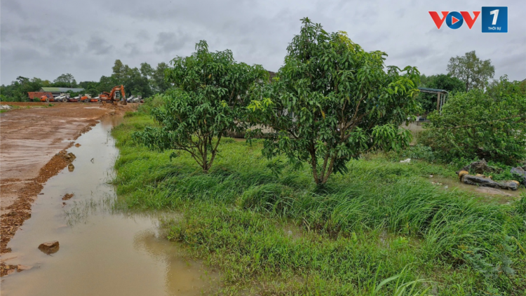 Ngập lụt do ảnh hưởng thi công cao tốc Vạn Ninh - Cam Lộ (31/10/2024)