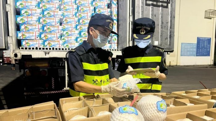 Những lô dừa tươi Việt Nam đầu tiên có mặt tại thị trường Trung Quốc (18/10/2024)