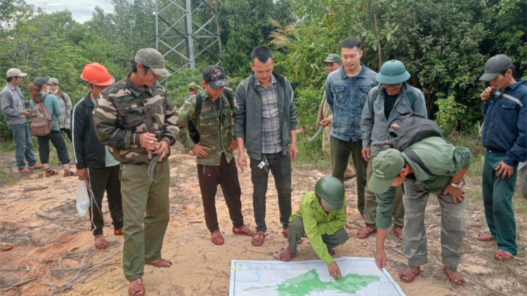 Quảng Nam: Xanh lại những cánh rừng (15/10/2024)