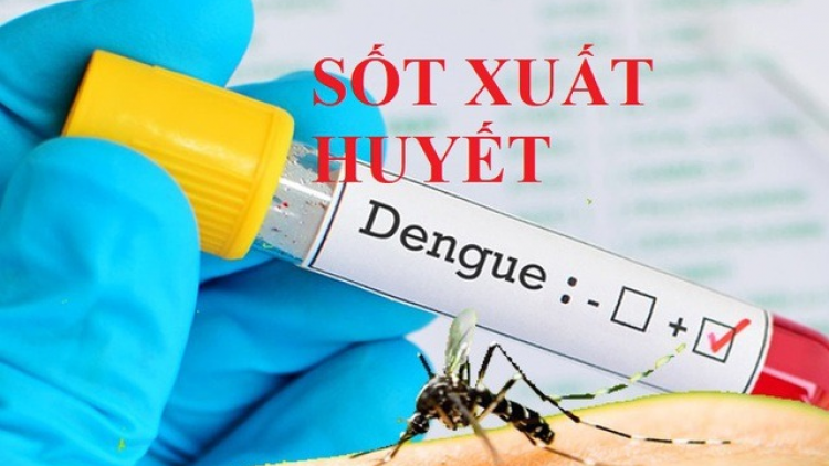 CDC Hà Nội cập nhật tình hình dịch sốt xuất huyết, sởi, viêm màng não (01/10/2024)