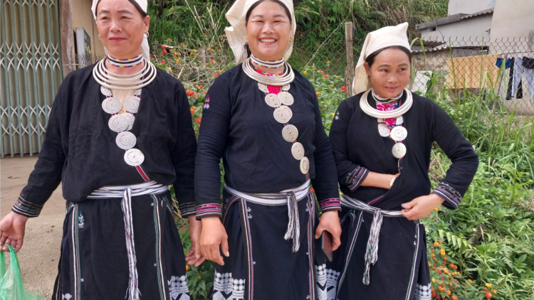 Thái Nguyên: Giữ gìn bảo tồn chữ Nôm Dao (10/11/2024)