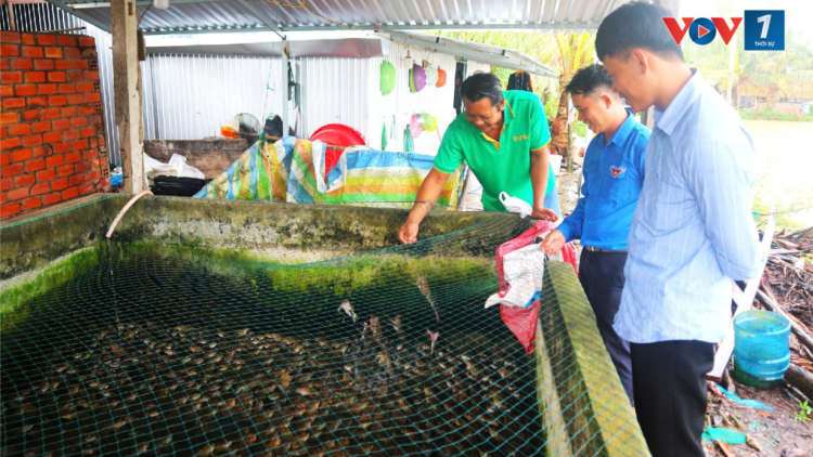 Thanh niên Khmer khởi nghiệp, xây dựng được mô hình kinh tế hiệu quả (08/11/2024)