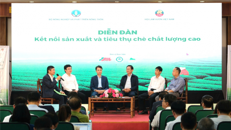 Năm 2025: chuyển đổi 70% diện tích trồng chè sang trồng các giống chè mới, chất lượng cao