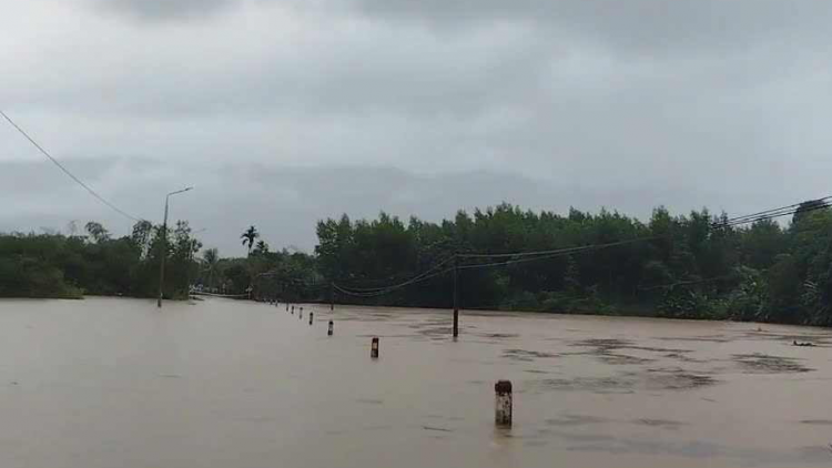 Quảng Nam: Mưa lớn kéo dài, nhiều tuyến đường bị chia cắt (5/11/2024)