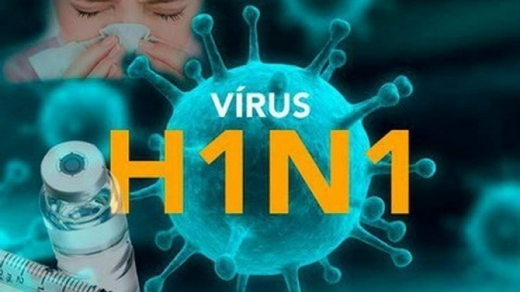 Bình Định ghi nhận 4 ca tử vong do cúm A(H1N1)pdm (27/11/2024)