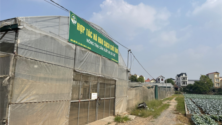 Ngày hội đại đoàn kết toàn dân tại xã nông thôn mới kiểu mẫu (16/11/2024)