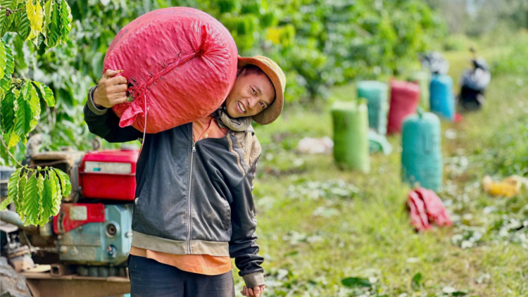 Ngành nông nghiệp Đắk Lắk thêm một năm gặt hái thắng lợi (19/12/2024)