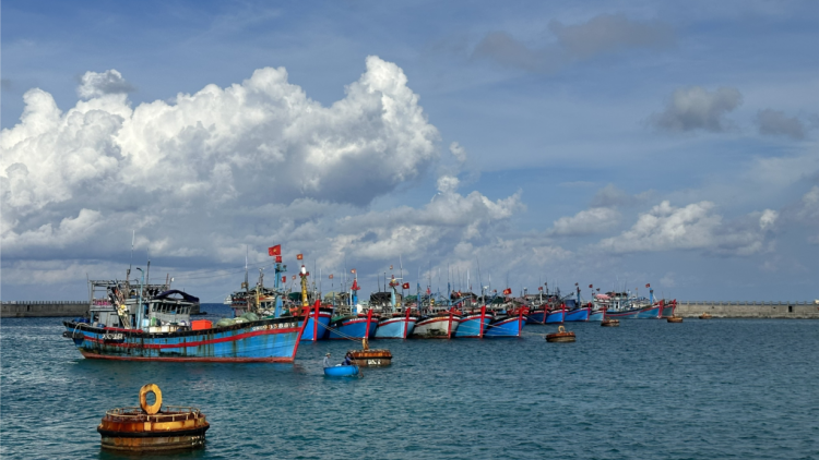 Âu tàu, làng chài ở Trường Sa:Điểm tựa vững chắc cho ngư dân (02/12/2024)