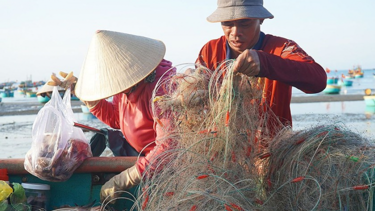 Sinh kế cho ngư dân chuyển đổi nghề (18/12/2024)