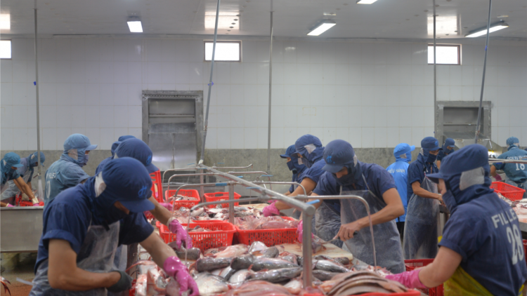 Nhiều cơ hội cho thủy sản Việt Nam tại thị trường Halal (13/12/2024)