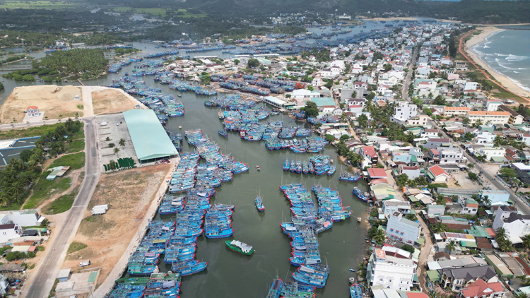 Loạt bài: Vì nghề cá bền vững và hội nhập Bài 2: Số hóa và cấu trúc lại nghề cá  (26/12/2025)