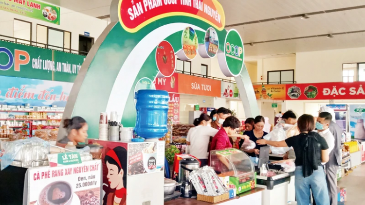 Thái Nguyên phát triển sản phẩm OCOP vùng dân tộc miền núi (14/2/2024)