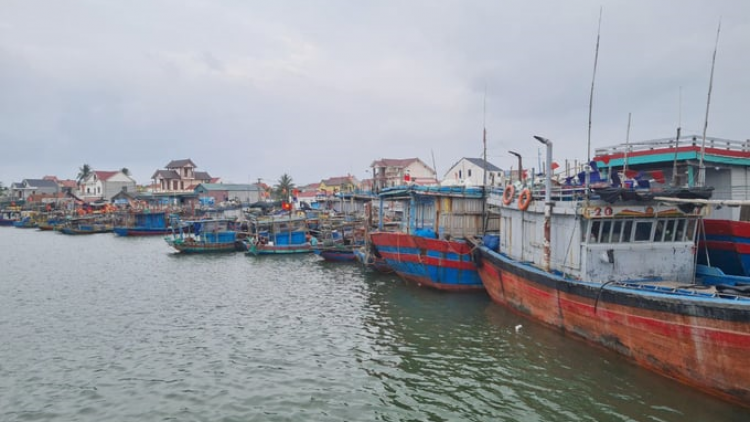 Nghệ An: Những chuyến biển cuối năm cập bến của ngư dân (09/2/2024)