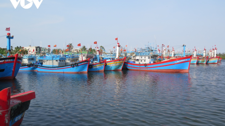 Minh bạch thông tin quản lý tàu cá, cấp bách gỡ thẻ vàng thuỷ sản (21/02/2024)