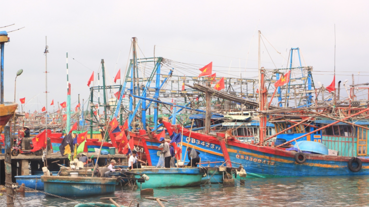 Ngư dân Quảng Bình ra khơi mở biển đầu năm (24/2/2024)