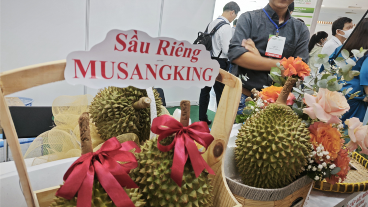 Khai thác tiềm năng xuất khẩu sầu riêng sang thị trường Trung Quốc (25/2/2024)